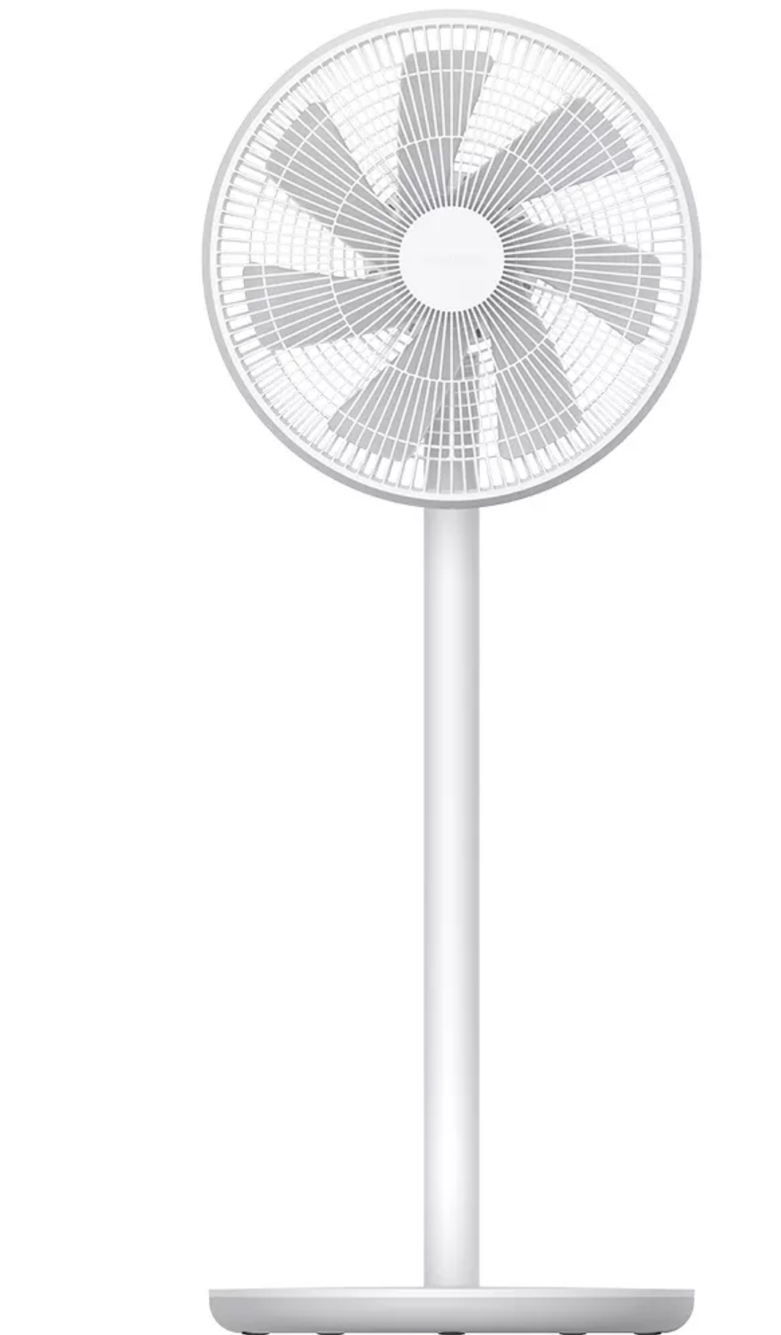 Fans